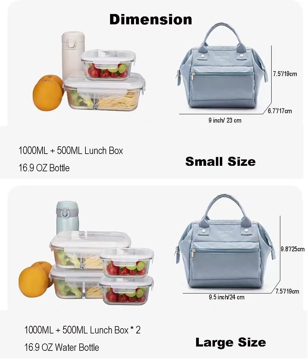 Lonchera kawaii grande para pícnic, bolsa aislada para calientes o fríos, reutilizable, bonita lonchera estética para mujeres (S, azul)
