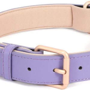 WHIPPY Collar de cuero para perro pequeño, mediano y grande, ajustable, suave, transpirable, acolchado, de cuero con hebilla de aleación, resistente WHIPPY Collar de cuero para perro pequeño, mediano y grande, ajustable, suave, transpirable, acolchado, de cuero con hebilla de aleación, resistente