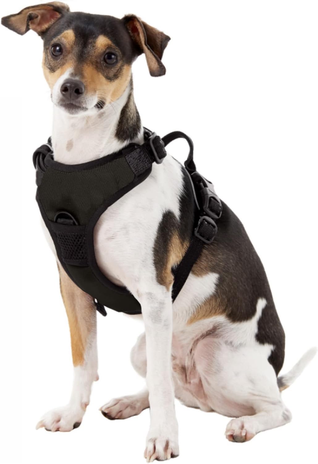 NHL – Arnés para mascotas con clip frontal unisex para adultos