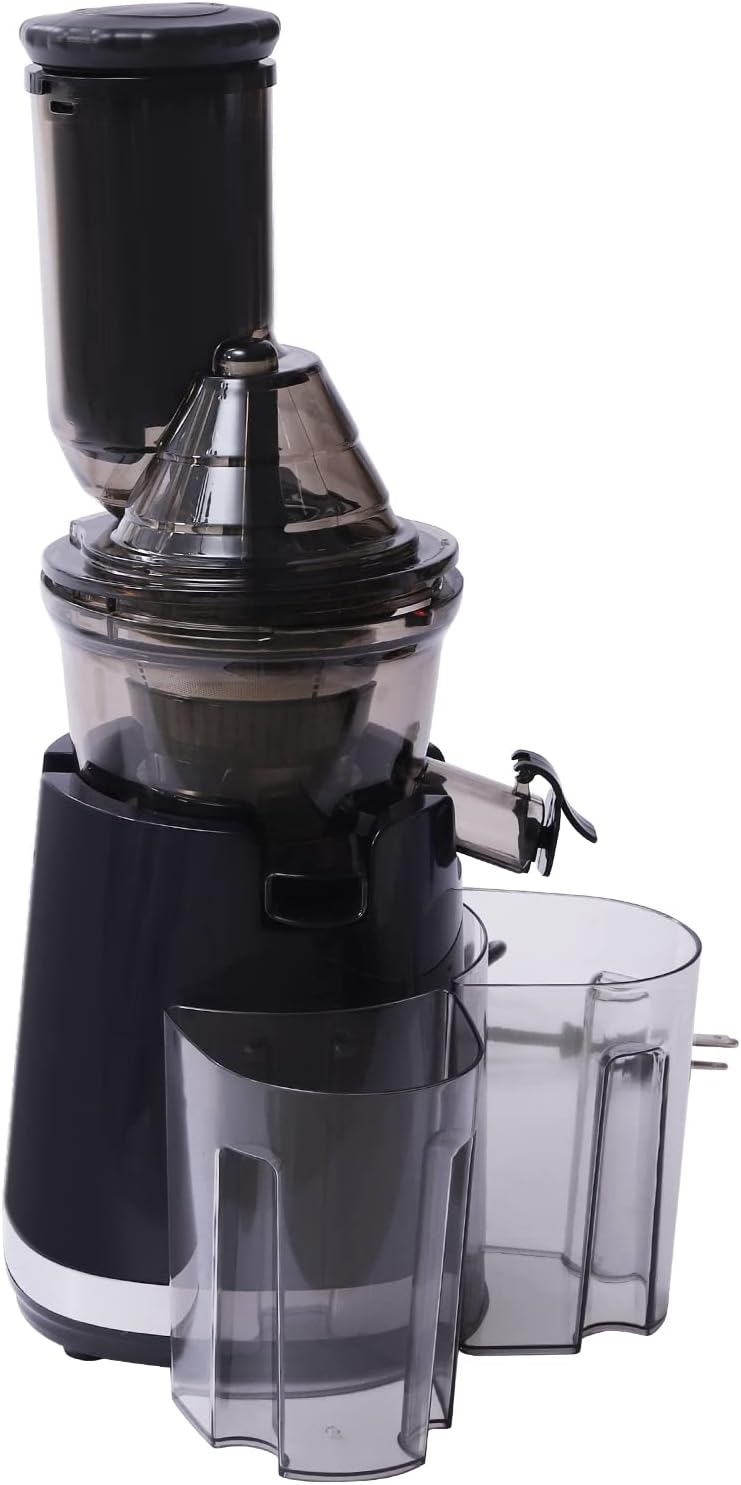 Máquina exprimidora, 250 W, exprimidor de masticación en frío, extractor de exprimidor lento para el hogar, máquinas exprimidoras para frutas