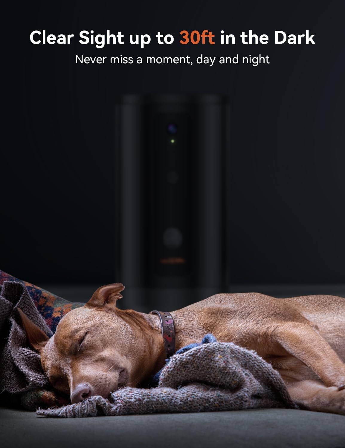 WOPET Cámara para perros de 300 con dispensador de golosinas, Nuevo 2024 Cámara WiFi 5G para mascotas para gatos y perros, 1080P HD con visión