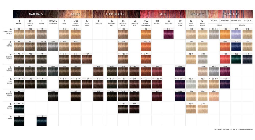 Igora Color 10 6-0 Rubio oscuro natural permanente 10 minutos coloración para el cabello Cream and M Hair Designs Tint Brush (paquete de 2 artículos)