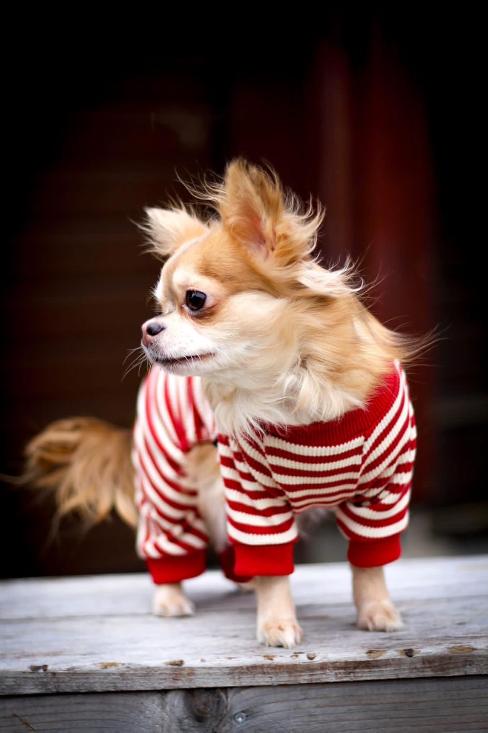 Fitwarm Pijama de perro a rayas rojas y blancas, ropa de perro de gofre para perros pequeños, hembra, niño, mameluco para cachorros con pies,