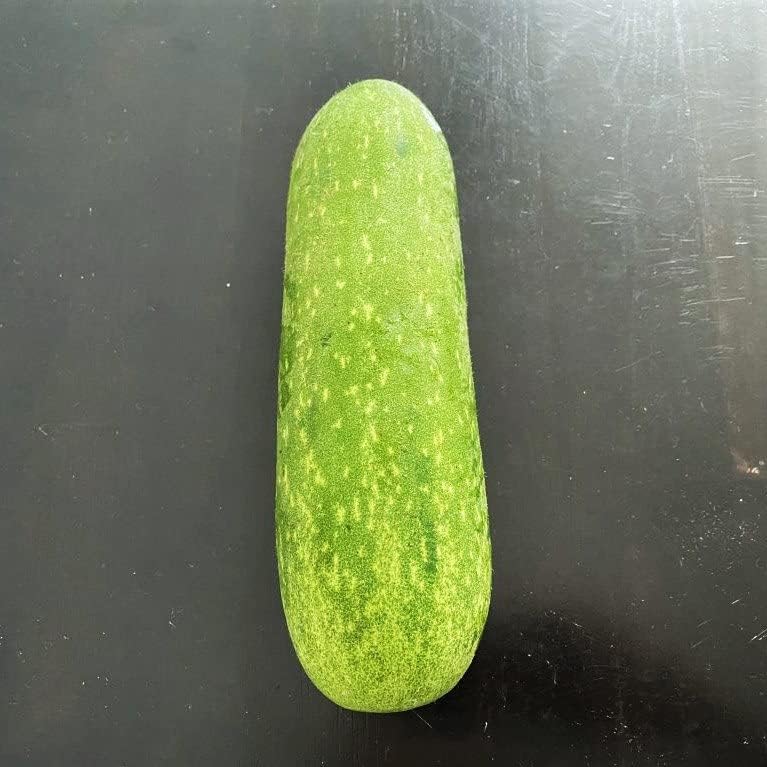 Fuzzy Star – Semillas de melón difusas – Paquete de 20 unidades – para 2024 semillas de verduras de ceniza de invierno Chi Qua Mo Gwa