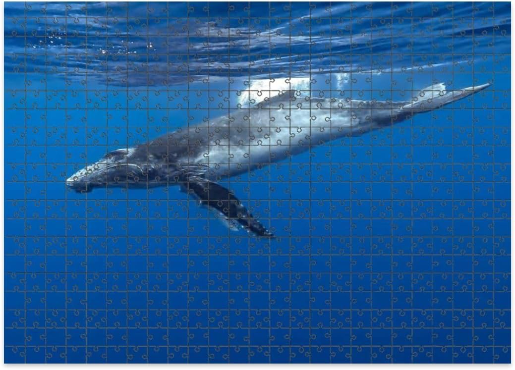 Rompecabezas de 1000 piezas de madera con letras de diseño de área Baleine Bosse rompecabezas regalos para adultos niños rompecabezas familia