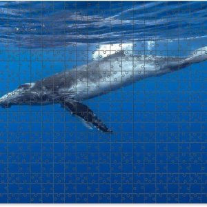 Rompecabezas de 1000 piezas de madera con letras de diseño de área Baleine Bosse rompecabezas regalos para adultos niños rompecabezas familia Rompecabezas de 1000 piezas de madera con letras de diseño de área Baleine Bosse rompecabezas regalos para adultos niños rompecabezas familia