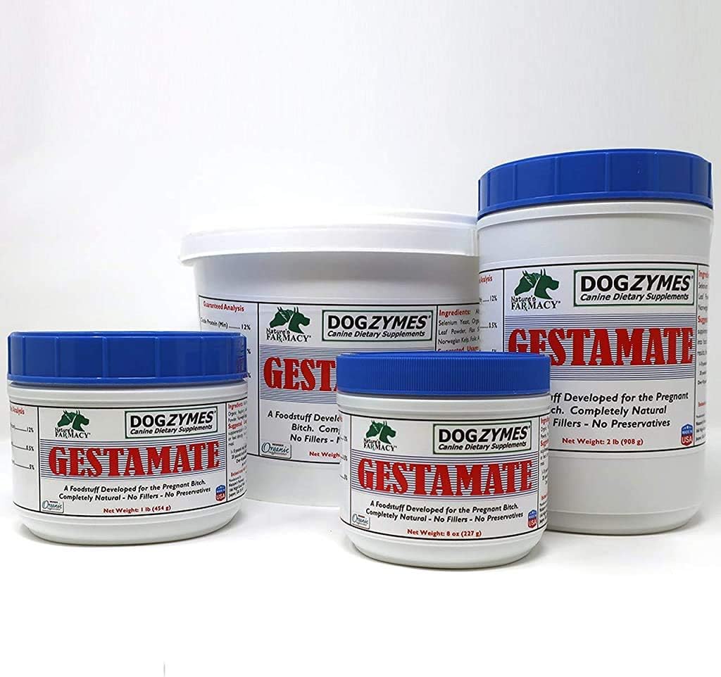 Dogzymes Gestamate (8 onzas)
