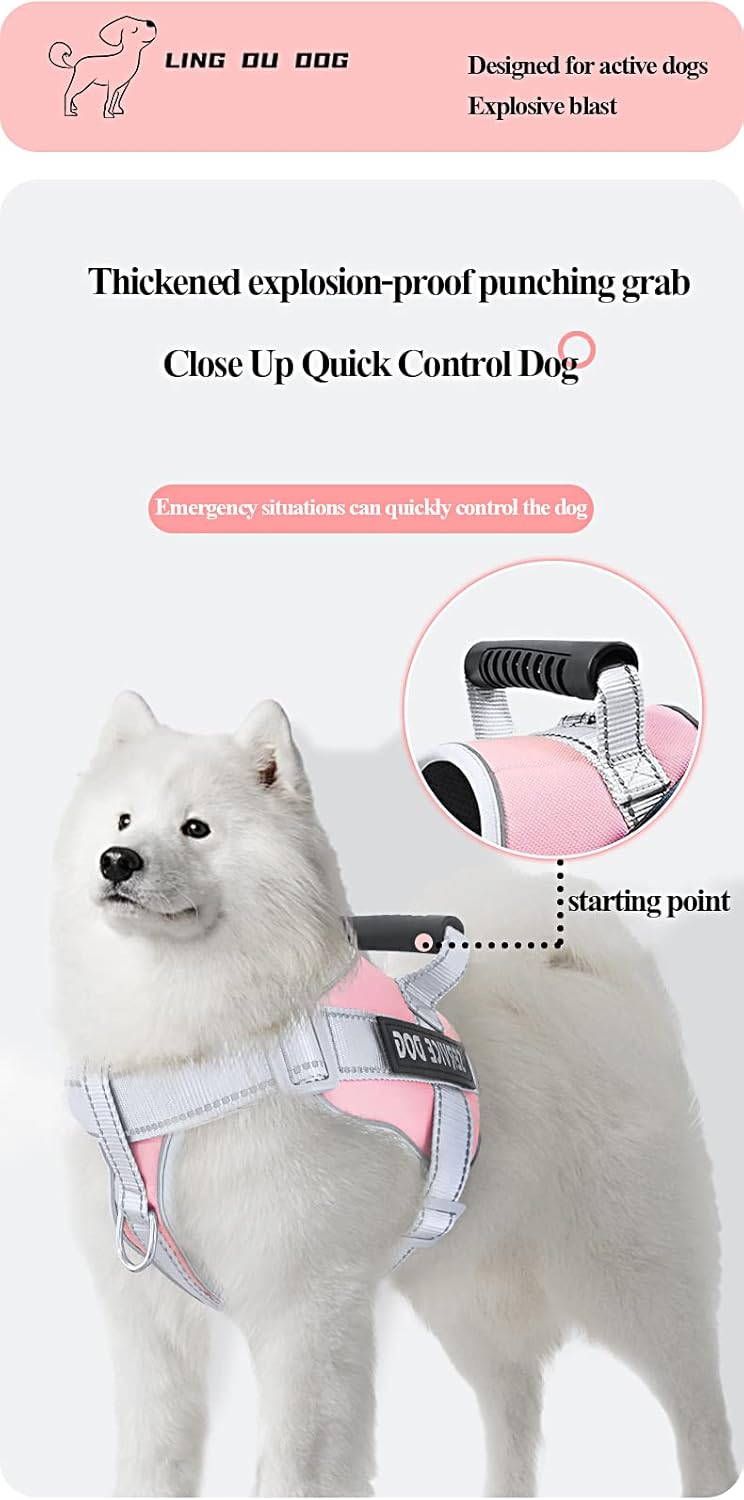 Callkroon g Arnés para perro, arnés sin tirones para mascota con correa de 4.9 ft y botella de agua, chaleco acolchado ajustable para perro, chaleco