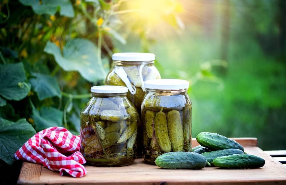 Semillas nacionales de pepino encurtido para plantar, más de 75 semillas tradicionales por paquete, semillas de jardín de Isla (semillas de jardín