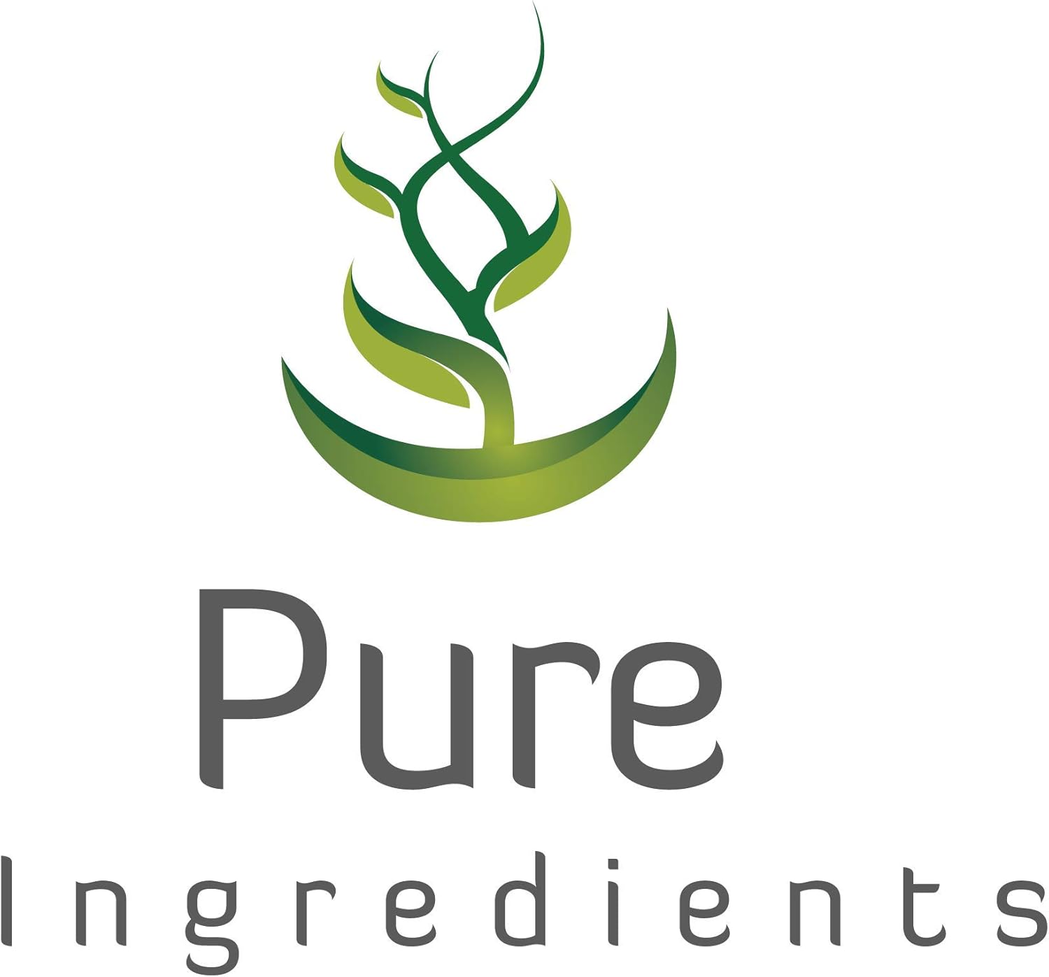 PURE ORIGINAL INGREDIENTS Extracto de arándanos (365 cápsulas), sin magnesio o rellenos de arroz, siempre puro, verificado por laboratorio