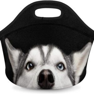 Bolsa de almuerzo de neopreno reutilizable con diseño de perro Husky con diseño de animales, bolsa térmica para comidas, bolsa de almuerzo Bolsa de almuerzo de neopreno reutilizable con diseño de perro Husky con diseño de animales, bolsa térmica para comidas, bolsa de almuerzo
