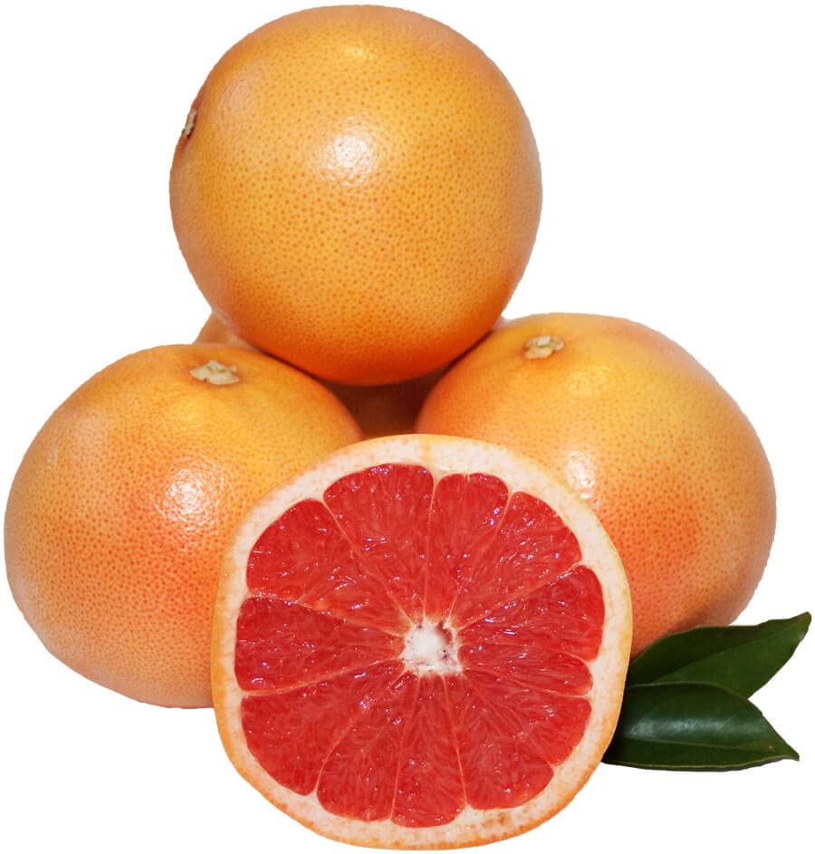 Bolsa de toronja roja rubí fresca cultivada en Texas de 8 libras – Rio Ruby Grapefruit