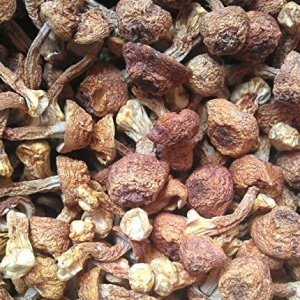 Agaricus Blazei secado en casa de 3 libras (48.04 oz) grado premium de Yunnan China Agaricus Blazei secado en casa de 3 libras (48.04 oz) grado premium de Yunnan China