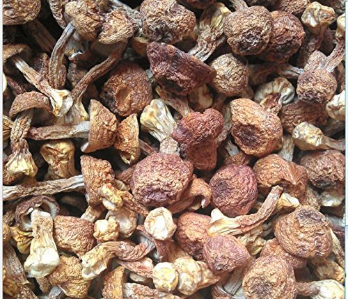 Agaricus Blazei secado en casa de 3 libras (48.04 oz) grado premium de Yunnan China