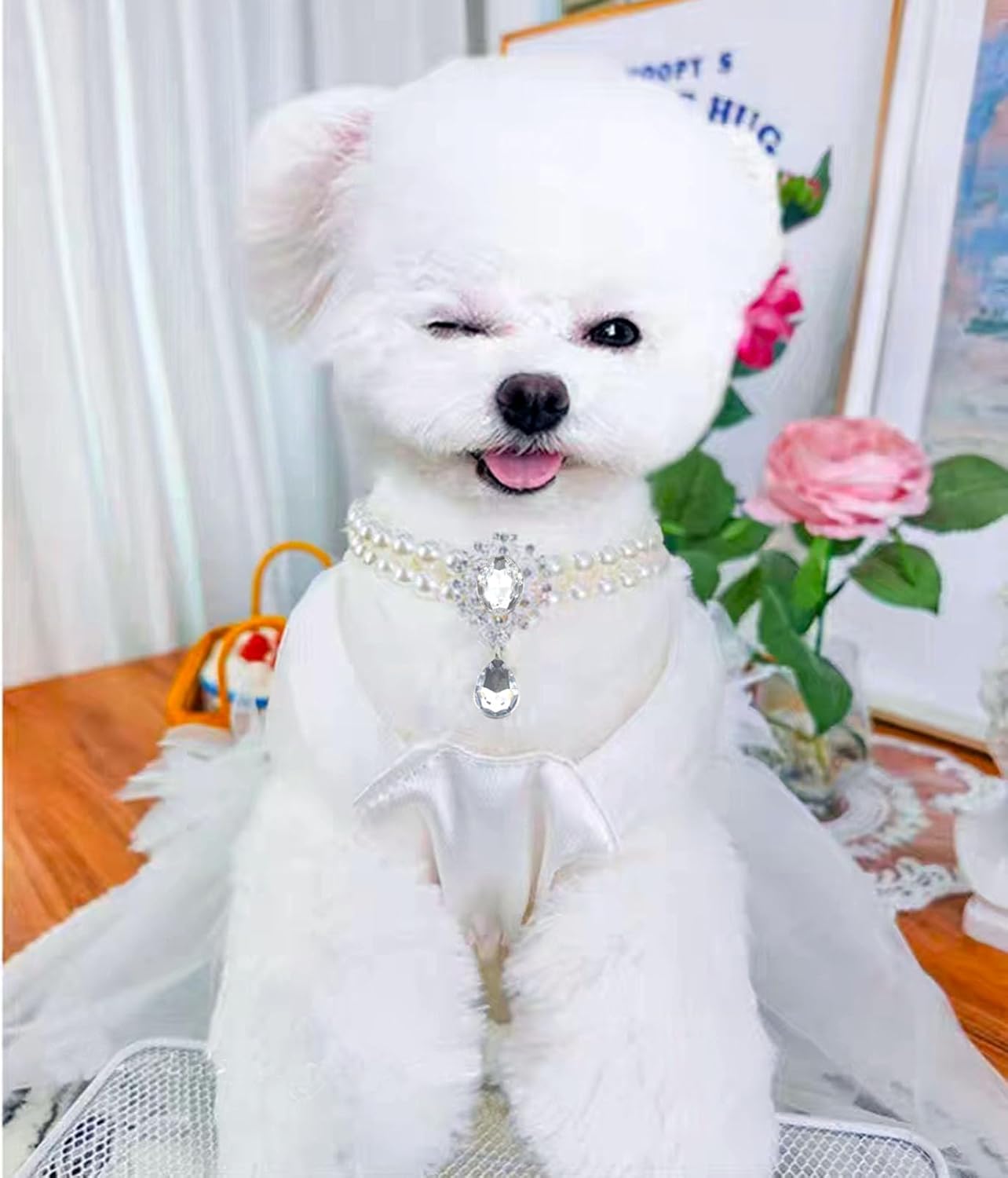 Collar de perlas de 2 filas para gatos, collar de perlas para perros, collares de diamantes de imitación para perros pequeños, accesorios de collar