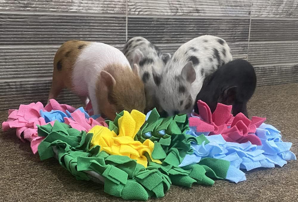 AZ Micro Mini Pigs Alfombra de juego colorida para olfatear, parte trasera antideslizante, muchos lugares para ocultar golosinas, 18 x 20 pulgadas