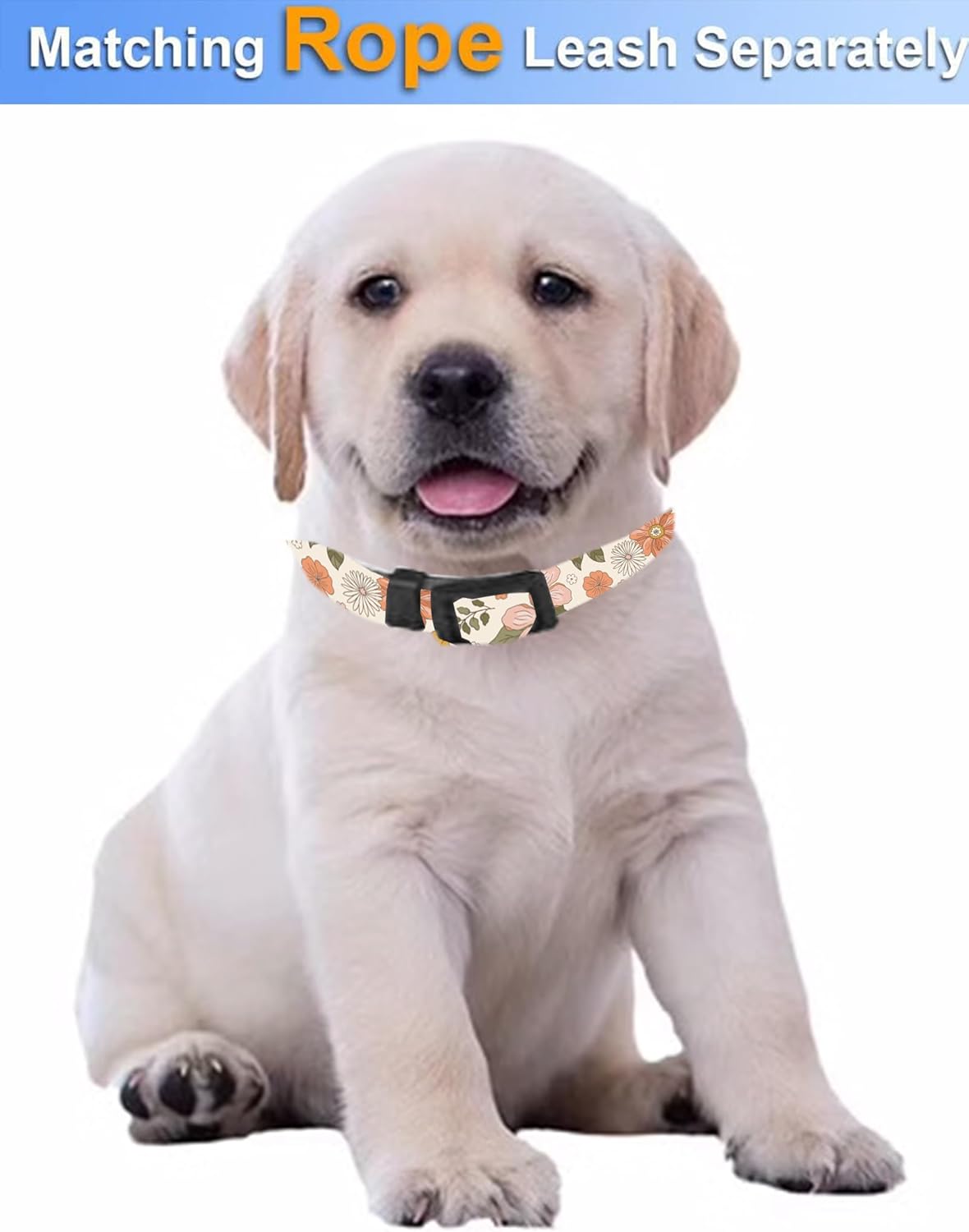 SXboxing Collar de perro, lindo collar de perro para perros pequeños, medianos y grandes, collares suaves personalizados ajustables para mascotas