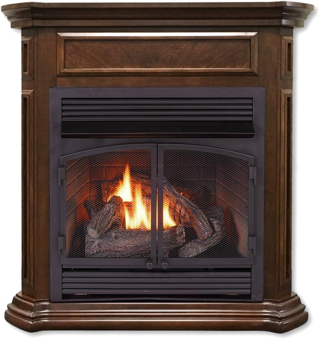 Duluth Forge Inserto de chimenea sin ventilación de combustible dual – 32,000 BTU, modelo de control T-Stat FDF400T-ZC
