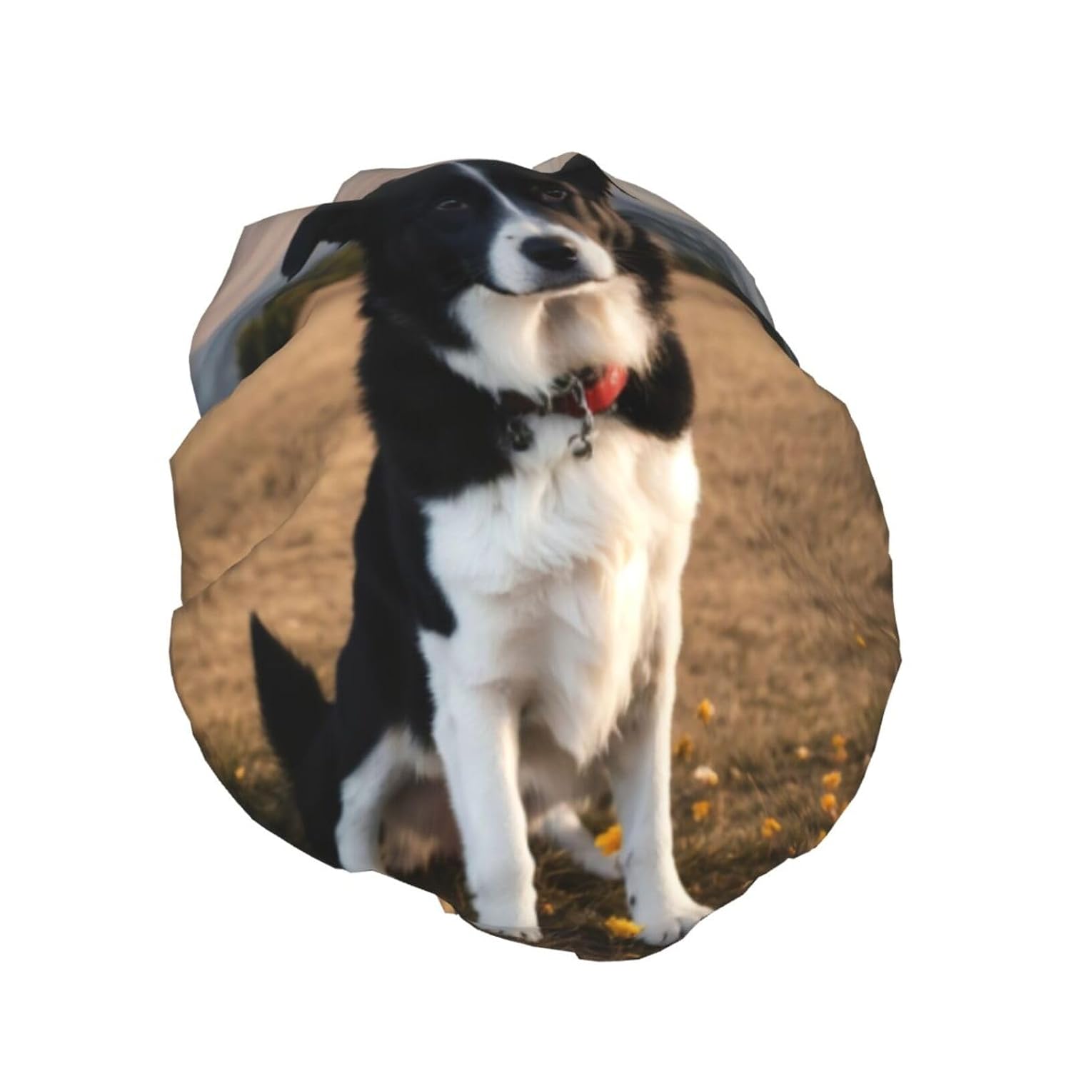Gorro de ducha de perro para mujer, elástico y reutilizable, doble capa impermeable
