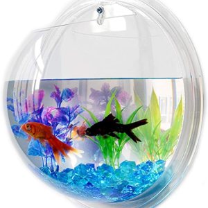 Pescado colgante de pared Pescado acrílico Pescado colgante Contenedor decorativo colgante Acuarios Tanques de burbujas de acrílico transparente Pescado colgante de pared Pescado acrílico Pescado colgante Contenedor decorativo colgante Acuarios Tanques de burbujas de acrílico transparente