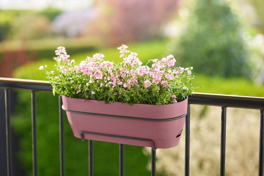 elho Vibia Campana Trough Allin1 50 – Macetero para balcón – Ø 50,4 x H 7.0 in – Rosa polvoriento