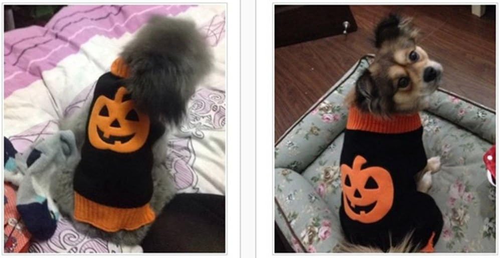 MaruPet Suéter acanalado de dos piernas para perrito de Año Nuevo, prendas de punto, cuello alto, Halloween, calabaza, impreso, chaleco de algodón