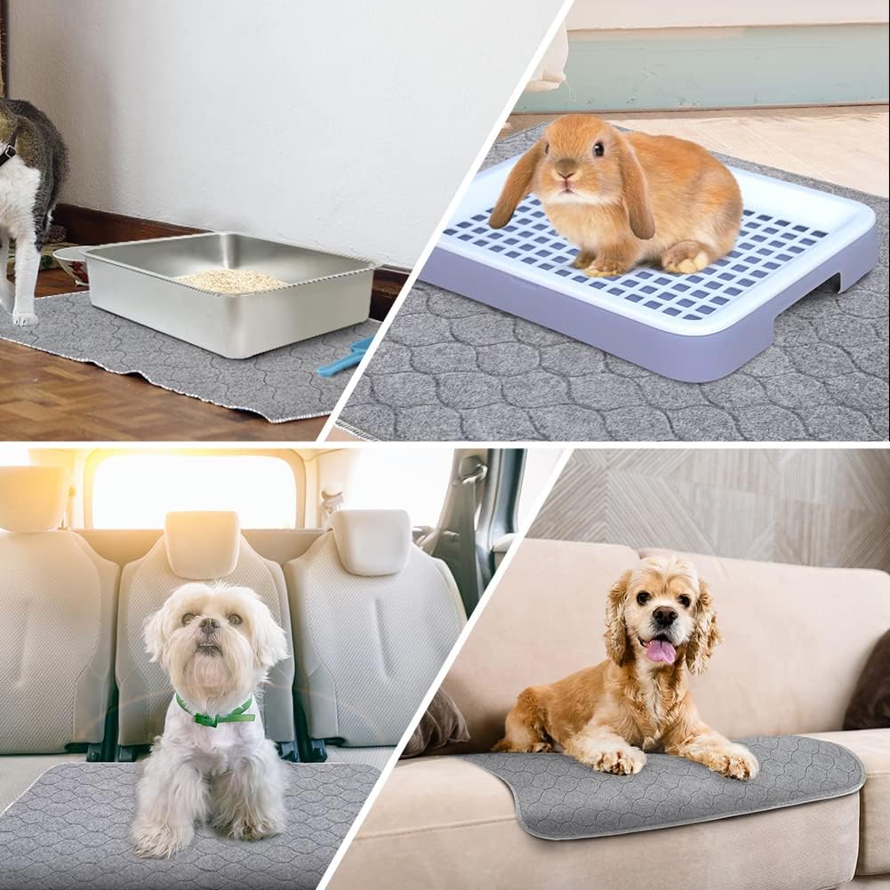 ARGOPET Paquete de 2 almohadillas reutilizables para cachorros, 24 x 18 pulgadas, de rápida absorción, a prueba de fugas, lavables, protectores de