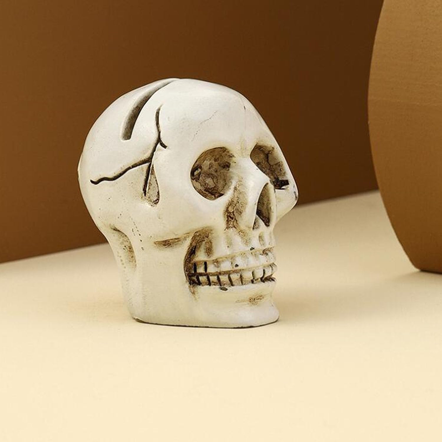 4 piezas de lindo clip para tarjetas en la parte superior de la mesa, cráneo de resina, modelo de réplica de calavera humana realista para