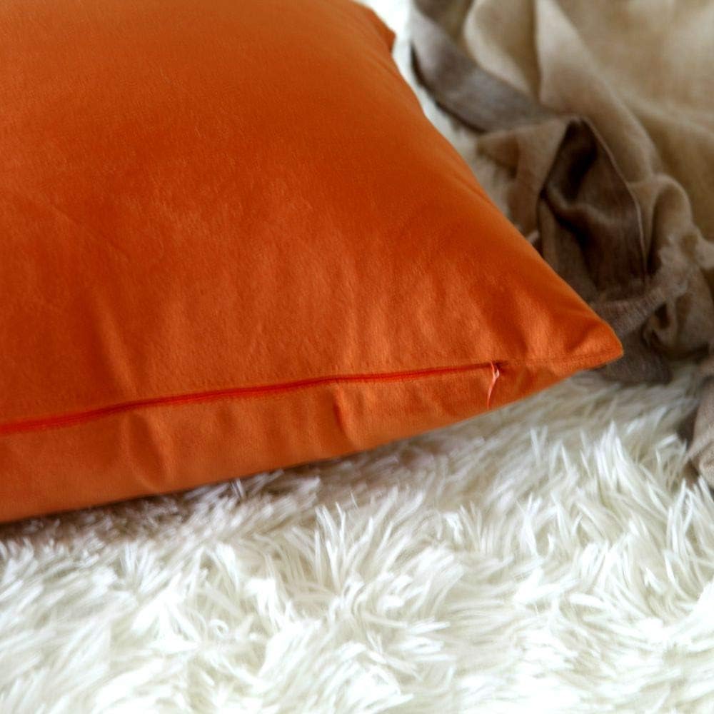 Artcest – Juego de 2 fundas de terciopelo para cojines decorativos, fundas para cojines decorativos sólidos para sofá y cama