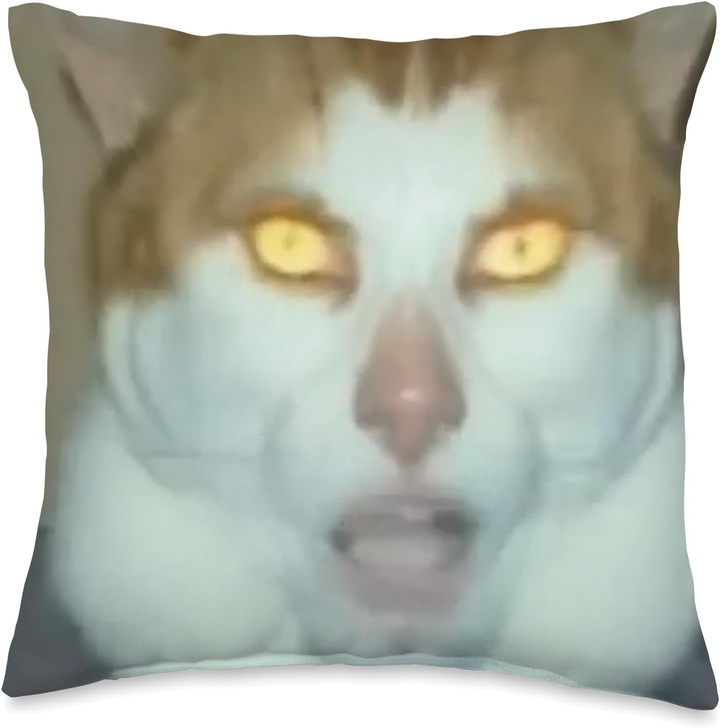 Monday Left Me Broken Cat – Almohada (16 x 16 pulgadas), multicolor