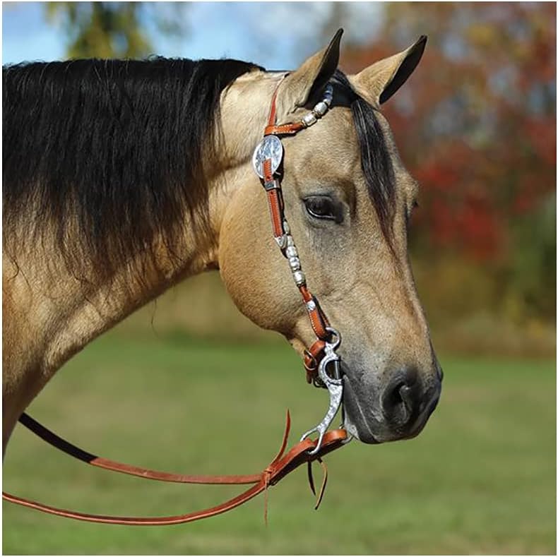 Raleigh – Cabeza de cuero crudo y plata de una oreja  Mejora la apariencia del caballo  Placa de plata y diseño de cuero crudo  Mejillas dobles
