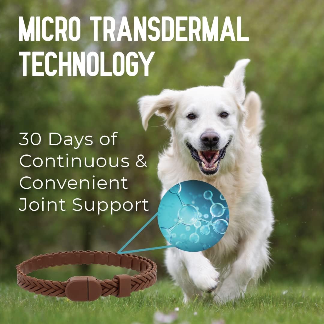 Collar de movilidad para cadera y articulaciones para perros con glucosamina, condroitina, MSM y más  Conveniente y fácil  30 días de apoyo continuo