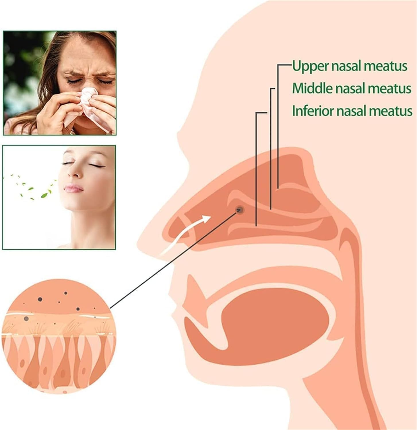 Spray nasal restaurador de limpieza pulmonar a base de hierbas, elimina la congestión nasal, desintoxicación pulmonar en aerosol de limpieza a base