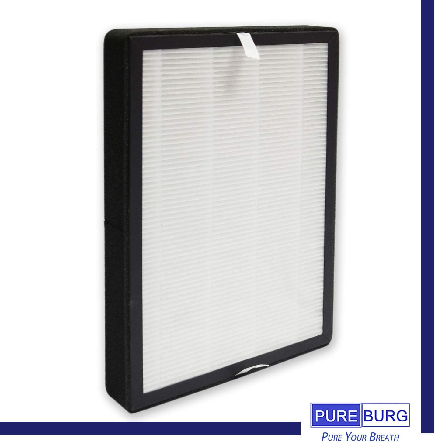 PUREBURG Filtros HEPA de repuesto compatibles con COSTWAY IGYLAR Domie 4 en 1 purificadores de aire iónico compuesto, carbón activado por filtración