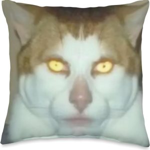 Meme Monday Left Me Broken Cat Costume Monday Left Me Broken Cat – Almohada (16 x 16 pulgadas), multicolor Meme Monday Left Me Broken Cat Costume Monday Left Me Broken Cat – Almohada (16 x 16 pulgadas), multicolor