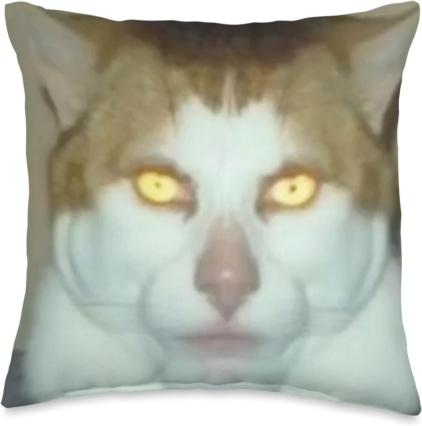 Meme Monday Left Me Broken Cat Costume Monday Left Me Broken Cat – Almohada (16 x 16 pulgadas), multicolor