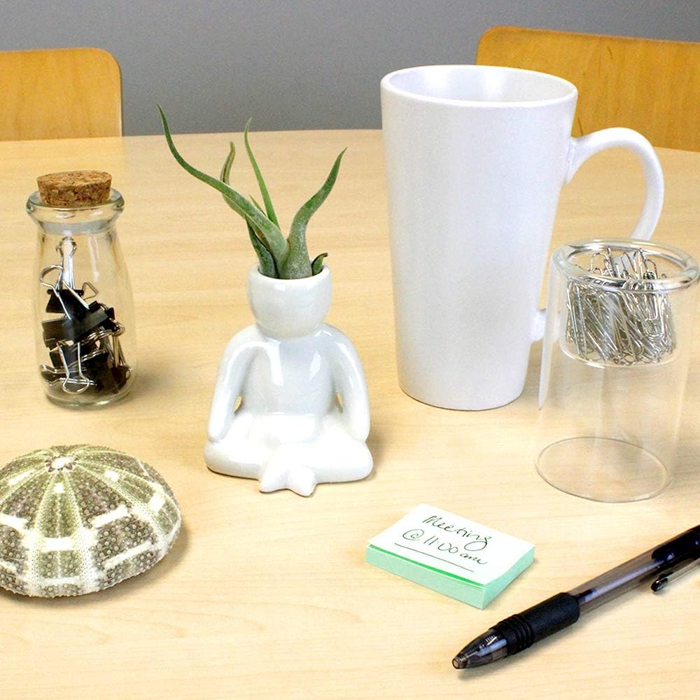 Maceta de cerámica blanca de 3.25 pulgadas con forma de persona con planta de aire Tillandsia viva, plantas de aire de interior en maceta para
