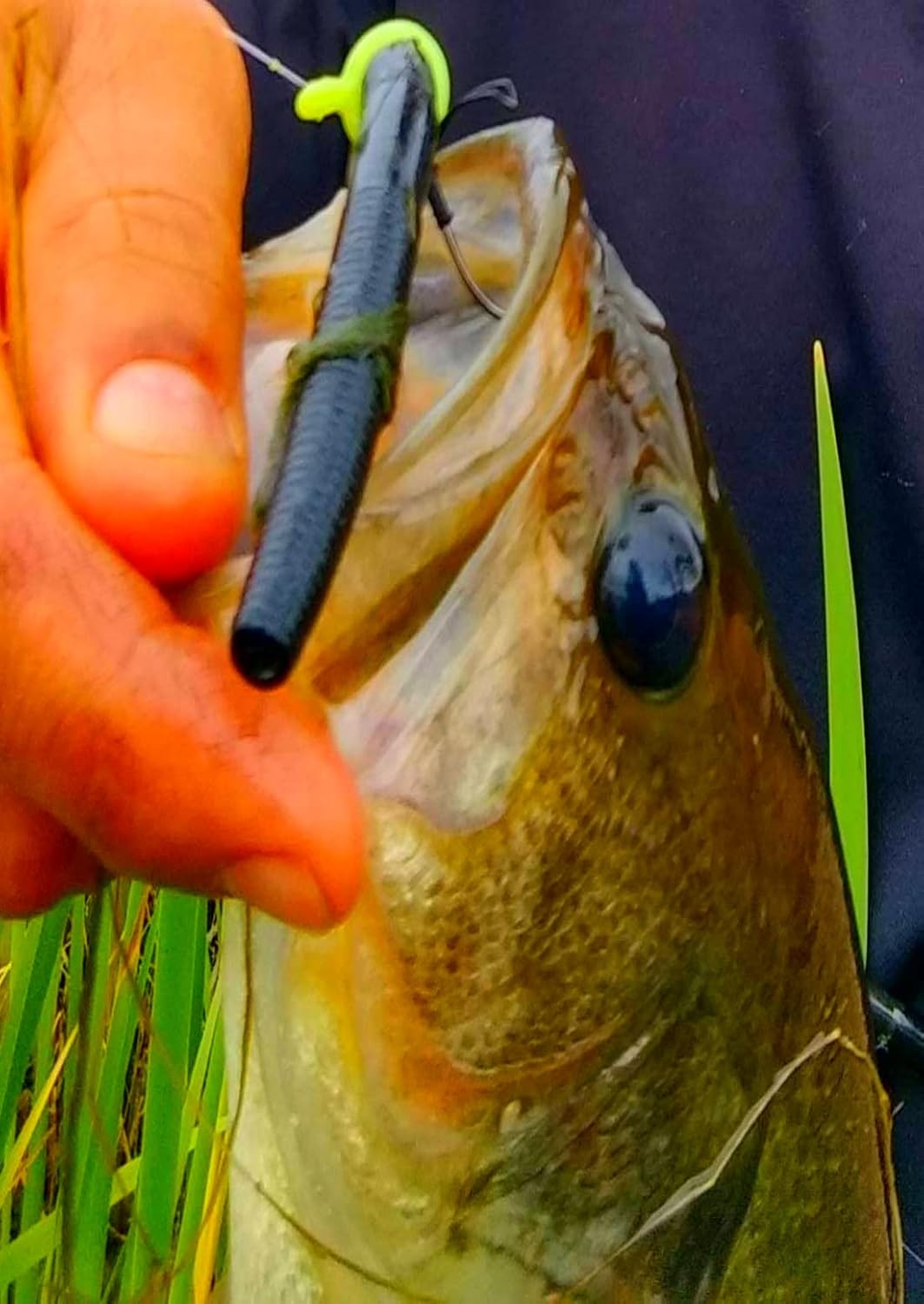 Sink-O-Ring Wacky Rig Kit de anillo tórico sin necesidad de herramientas, uso senko gusanos que brillan en la oscuridad, ganchos de pesca fáciles de