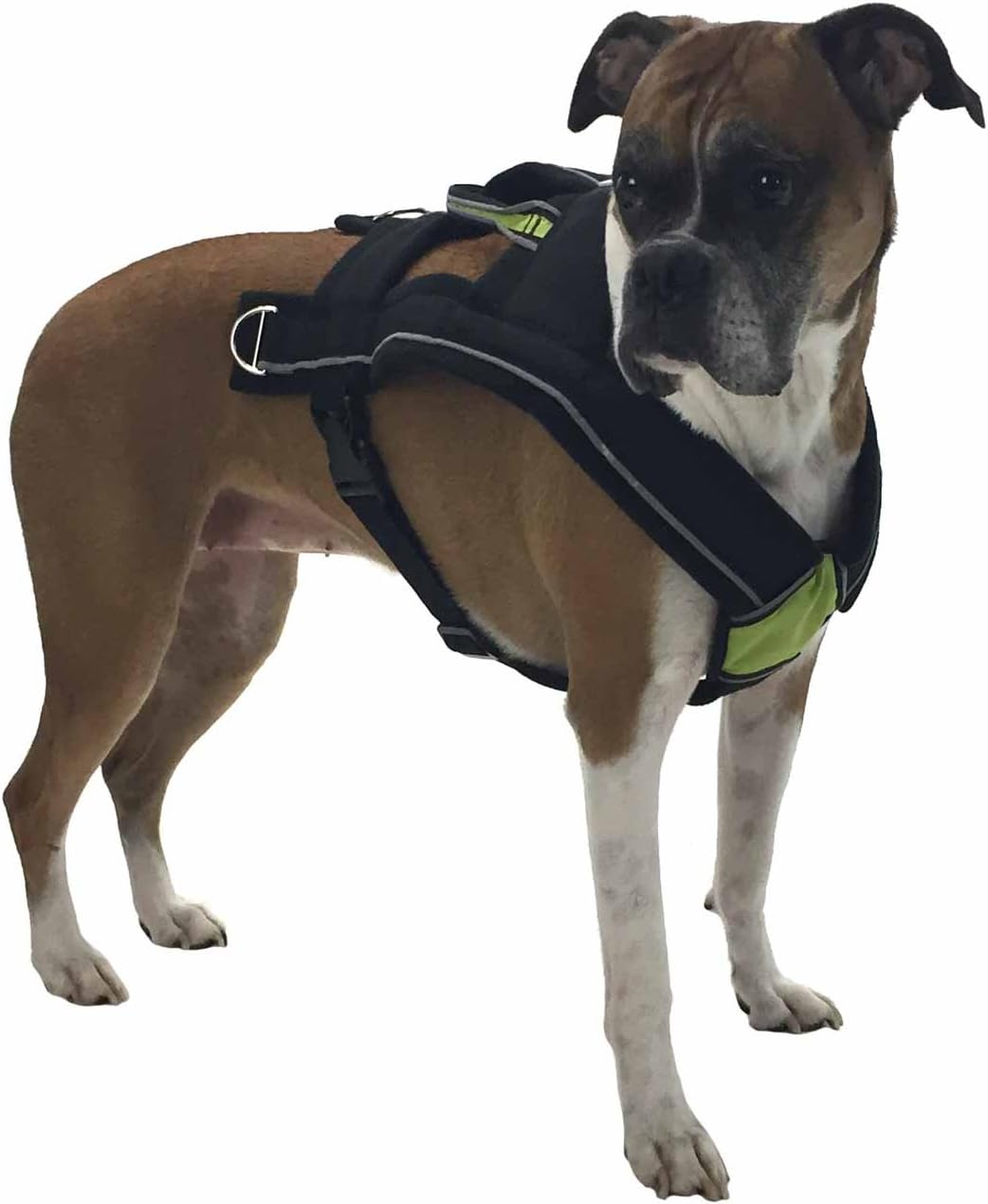 FrontPet Arnés para tirar y correa para tirar, chaleco acolchado ajustable para perros para trineo, correr, trotar y hacer ejercicio, tiras