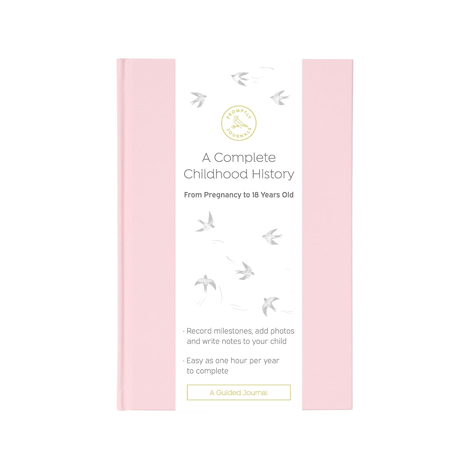 Promptly Journals – Cuaderno de historia de la infancia, cuaderno de recuerdos para bebés desde el embarazo hasta los 18 años (rosa rubor)