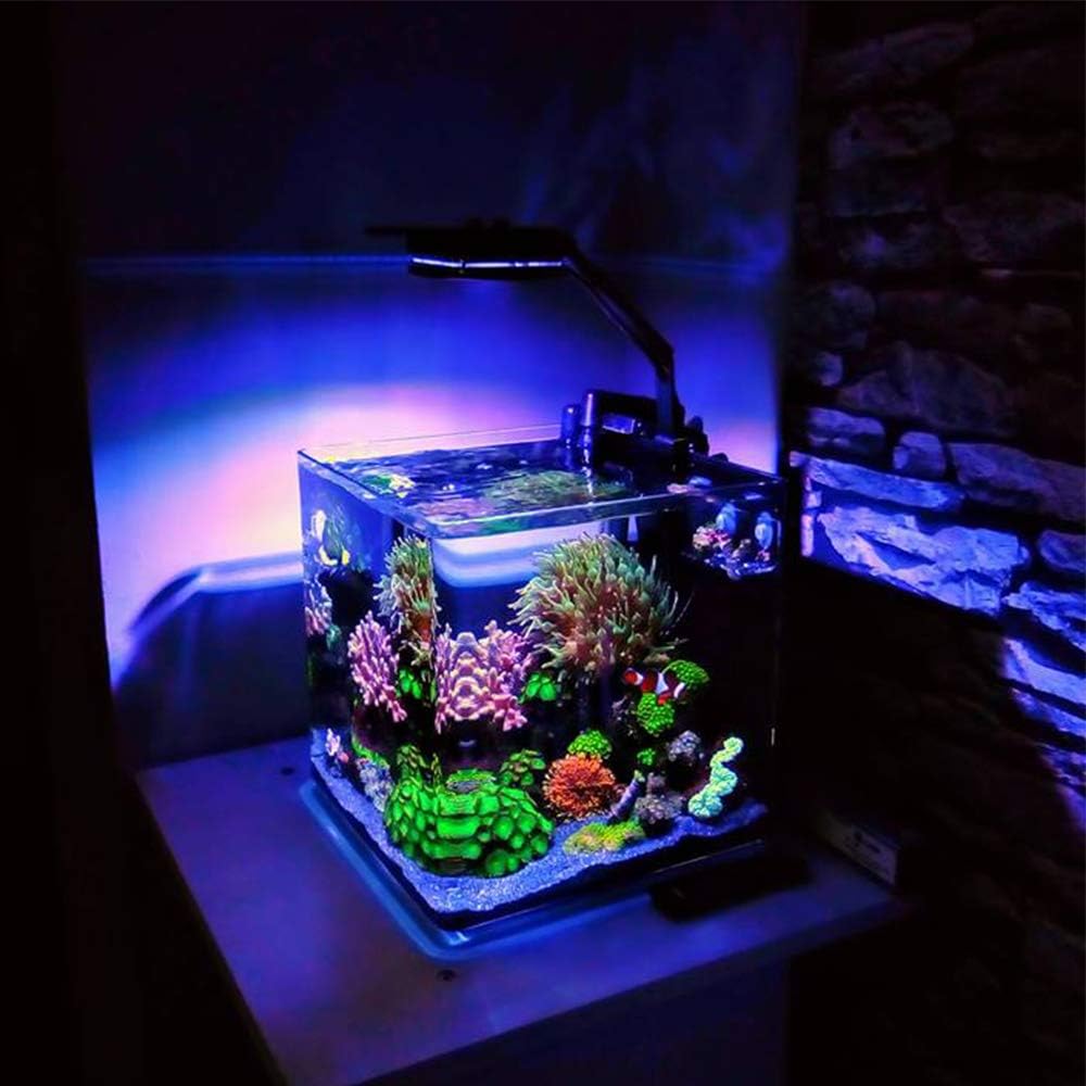 Lominie Luz LED para acuario, luz de espectro completo, luz plantada de agua salada, cuello de cisne ajustable para tanques de peces de coral de