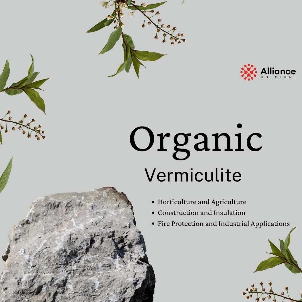 Vermiculita fina orgánica de primera calidad, 10 pies cúbicos, paquete de 5 (255 cuartos de galón), enmienda de suelo prémium para jardines