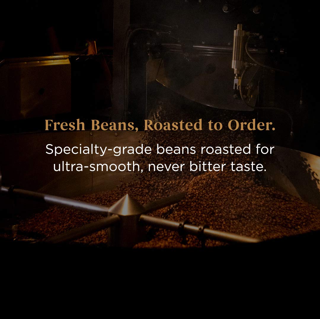 Storyville Coffee Prologue Blend  Granos de café tostados frescos de grano entero prémium tostado medio  8 onzas