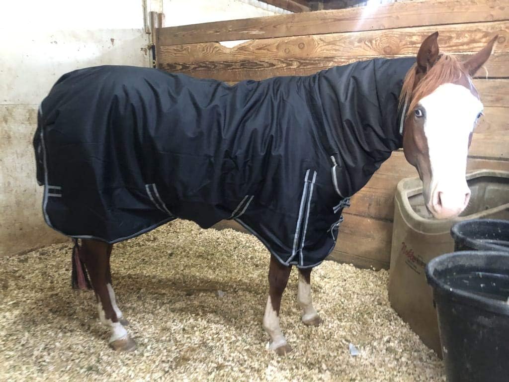 Blizzard – Hoja de participación de caballo – Juego ligero  Cubierta de cuello adjunta  Tamaño 68 – Negro  1200 Denier  Surcingle cruzado