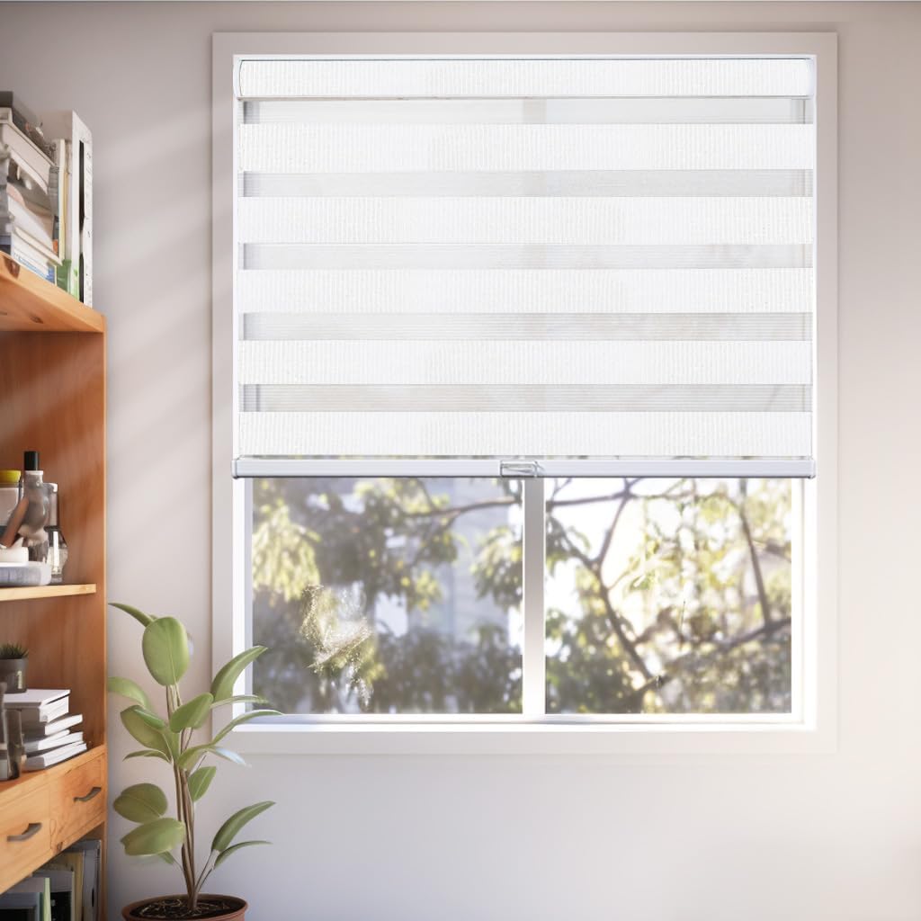 CHICOLOGY – Sombras de cebra sin varillas para uso diario, tratamiento de doble capa para ventana de filtrado de luz, ideal para niños y perfecto