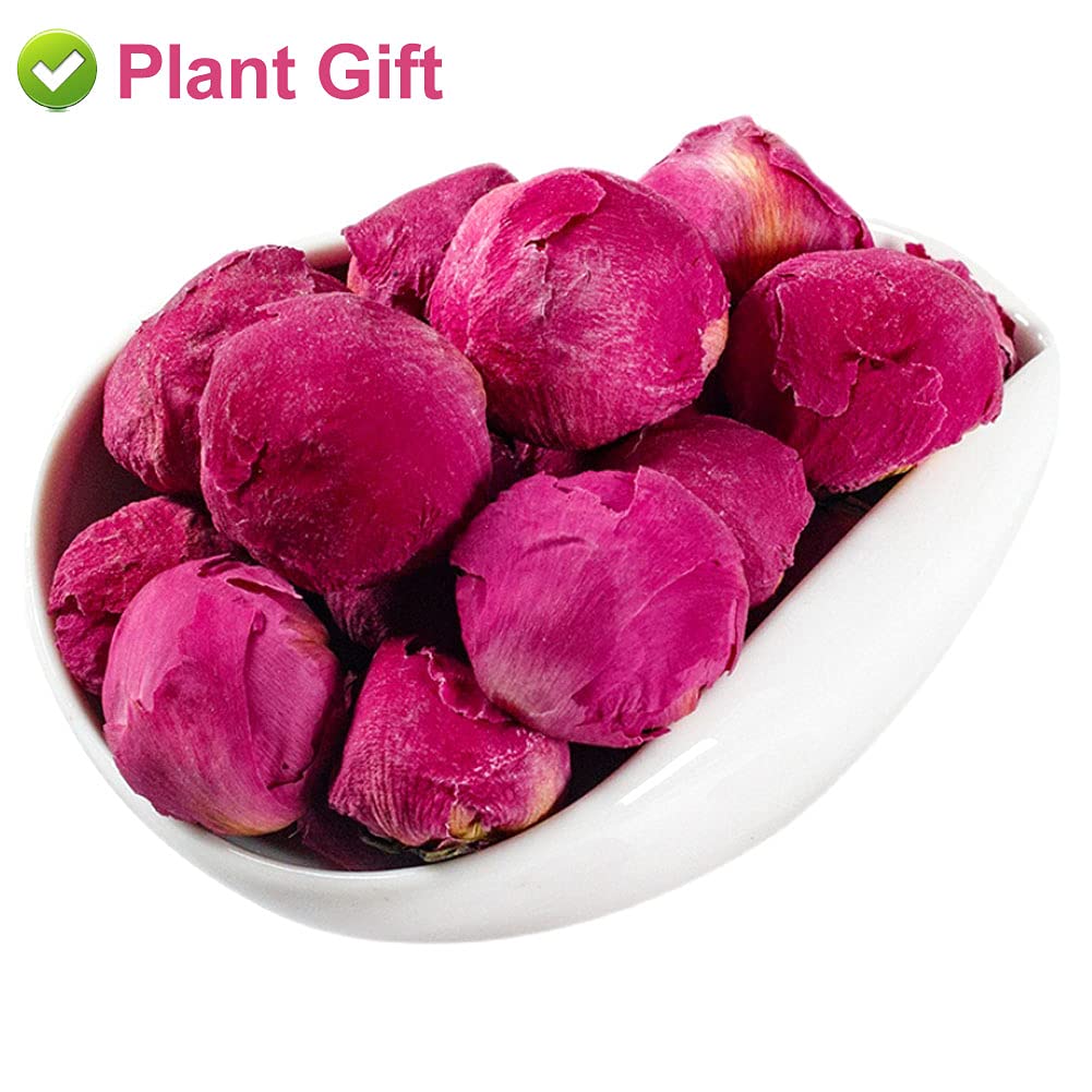 PlantGift – Bola de peonía fragante de 1.76 onzas, 1.76 onzas, Paeonia lactiflora, flores de peonía secas naturales para suministros de fabricación