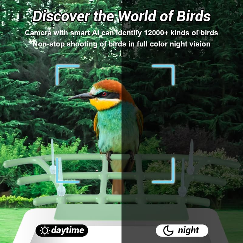 NIBOLIJI – Comedero inteligente para pájaros con cámara 1080HD, casas de pájaros para exteriores con panel solar, captura automática videos de aves