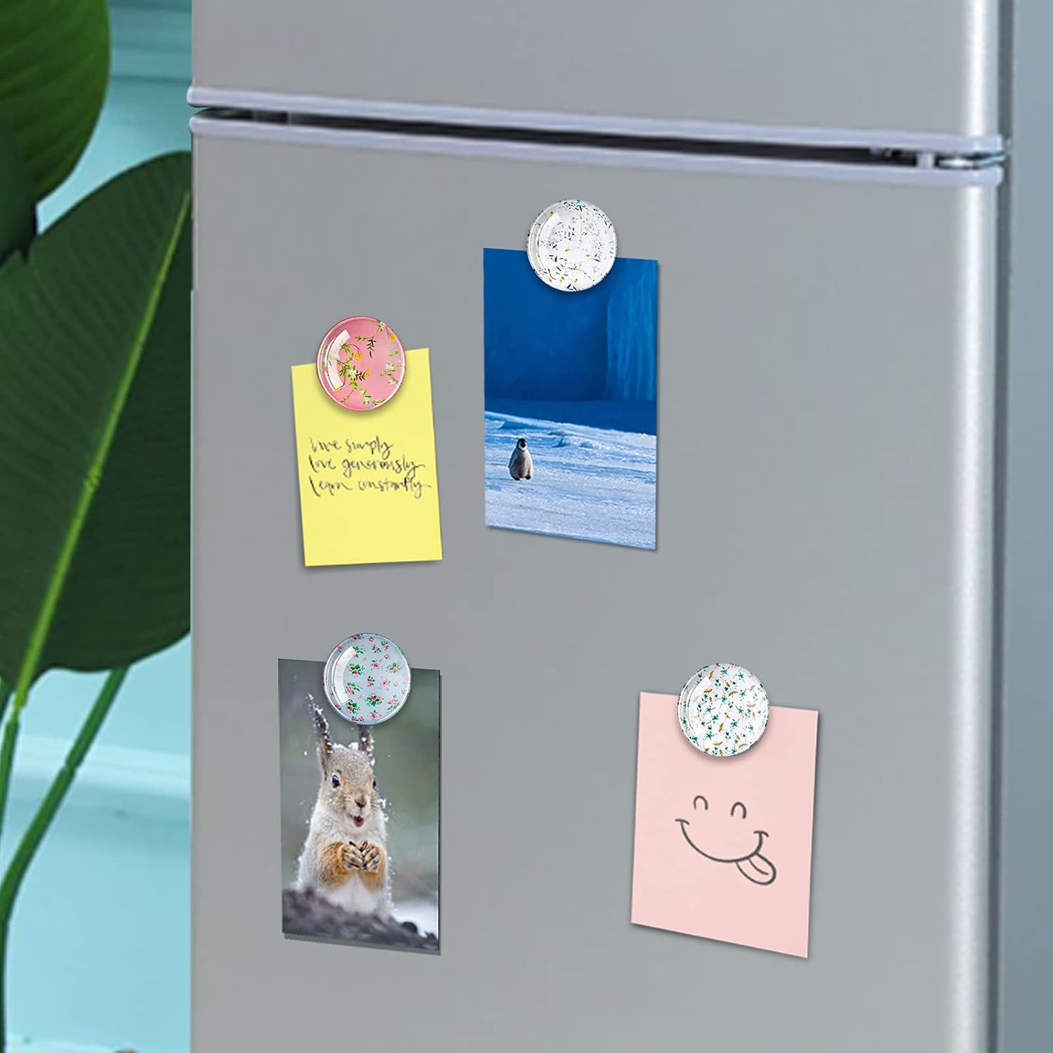 Imanes para nevera, 12 imanes para refrigerador con flores, imanes para nevera de cocina, imanes para casillero para niñas, bonitos imanes para