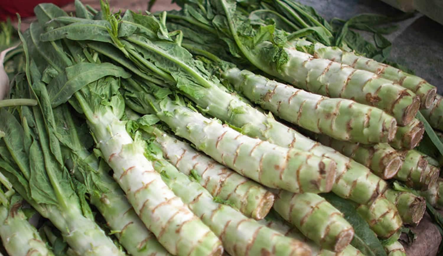 Semillas Vegetales Espárragos Hojas de Lechuga Heirloom para Ensaladas – 1000 Semillas