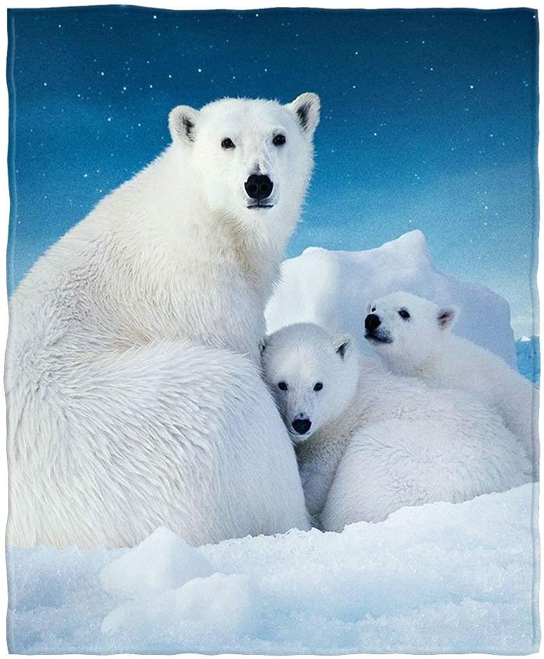 Manta suave y acogedora con diseño de oso polar para sofá de la familia, diseño de cielo azul, para adultos y jóvenes, poliéster de 60 x 80 pulgadas